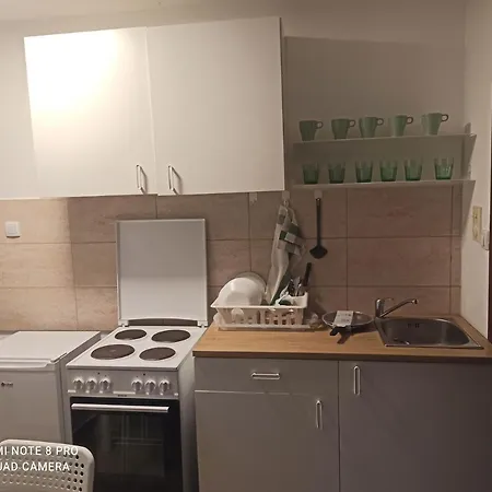 Apartment Lina Ribarska Banja